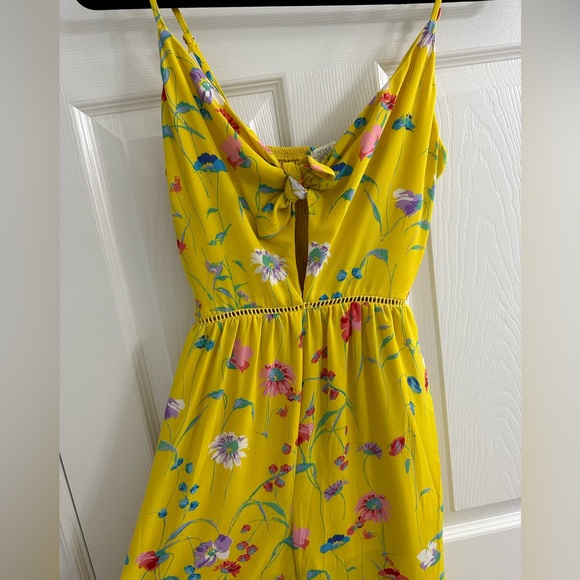 Sienna Sky Jumpsuit - Picture 2 of 7